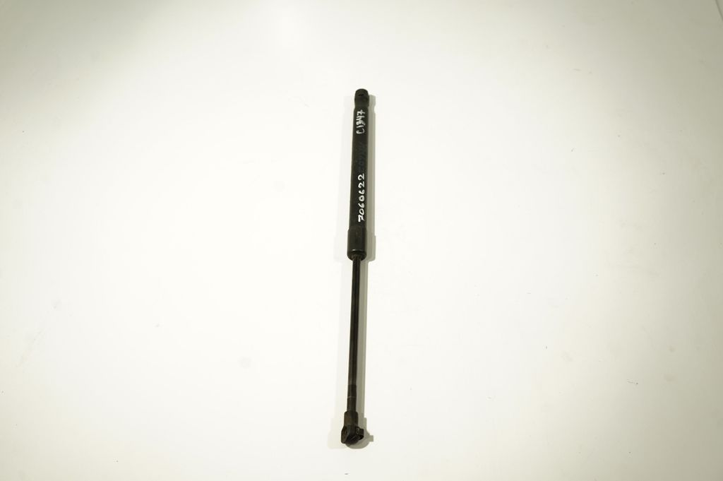 Tailgate/trunk strut/damper (3)