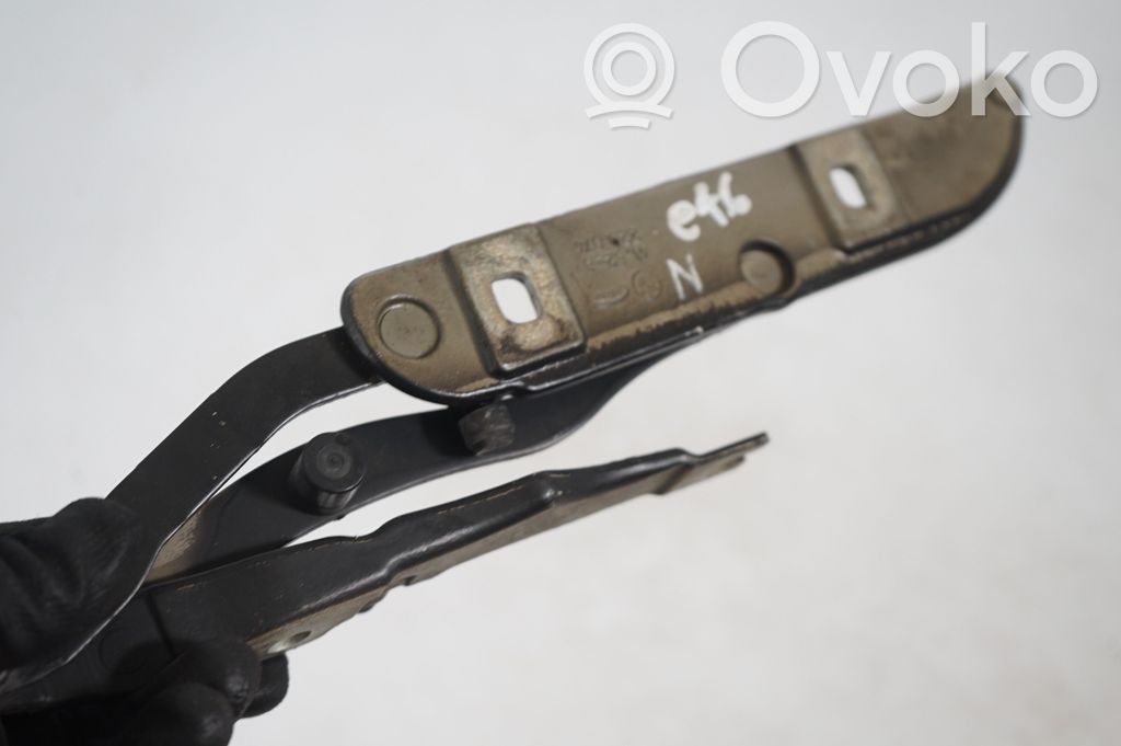 Tailgate/trunk/boot hinge (6)