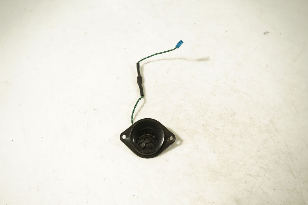 Front door speaker