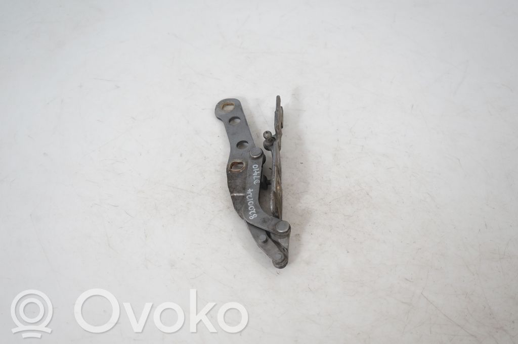 Engine bonnet/hood hinges (4)
