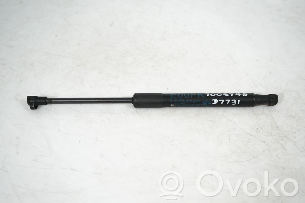 Front bonnet/hood damper/strut