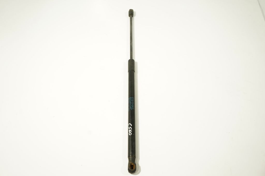 Tailgate/trunk strut/damper (2)