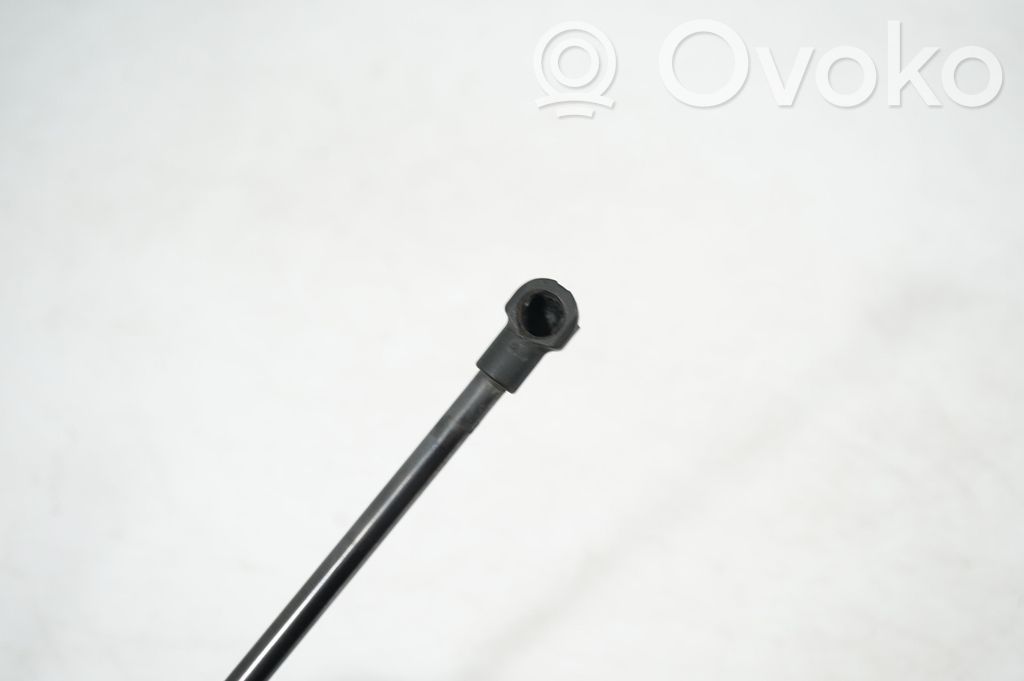 Front bonnet/hood damper/strut (5)