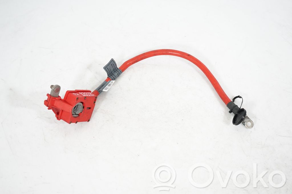 Positive cable (battery) (10)