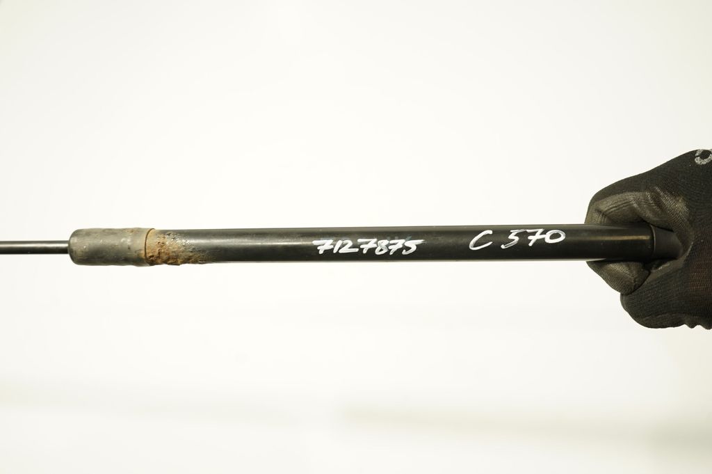 Tailgate/trunk strut/damper (8)