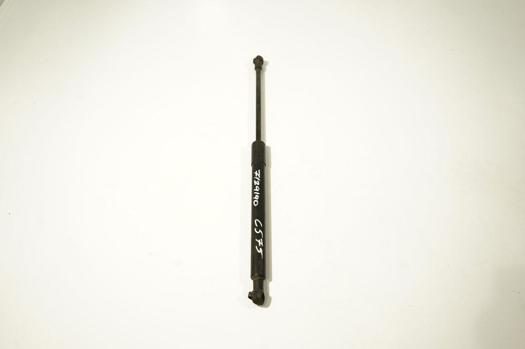 Front bonnet/hood damper/strut (2)