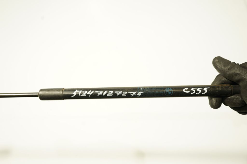 Tailgate/trunk strut/damper (8)