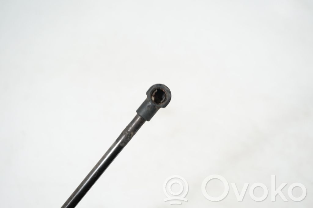 Front bonnet/hood damper/strut (6)