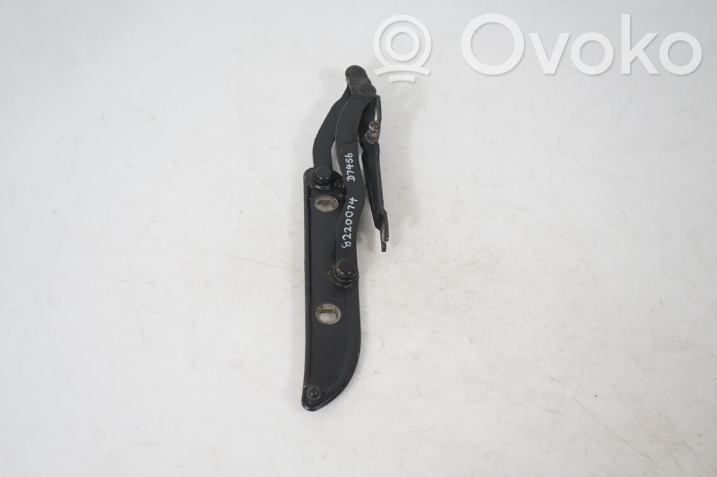 Tailgate/trunk/boot hinge (4)