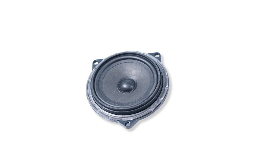 Rear door speaker (4)