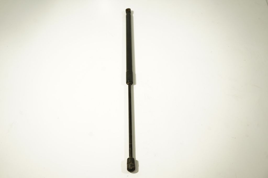Tailgate/trunk strut/damper (4)