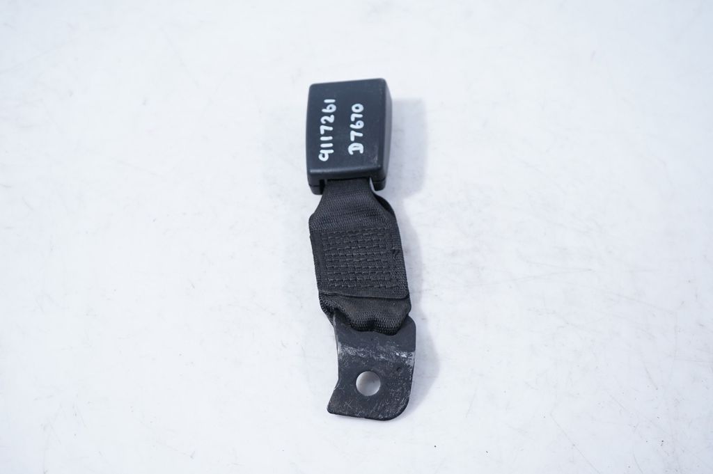 Rear seatbelt buckle (4)